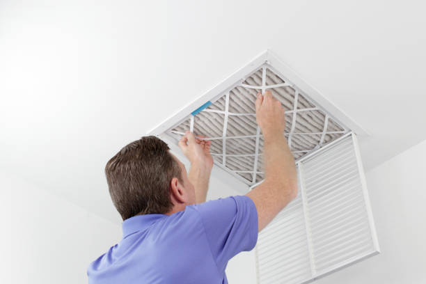 Best Home Air Vent Cleaning  in La Luz, NM